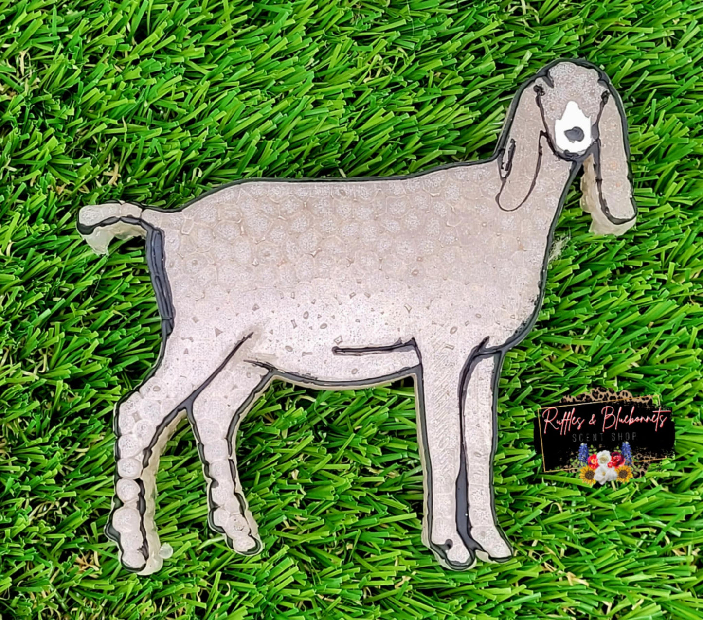 Show Animals