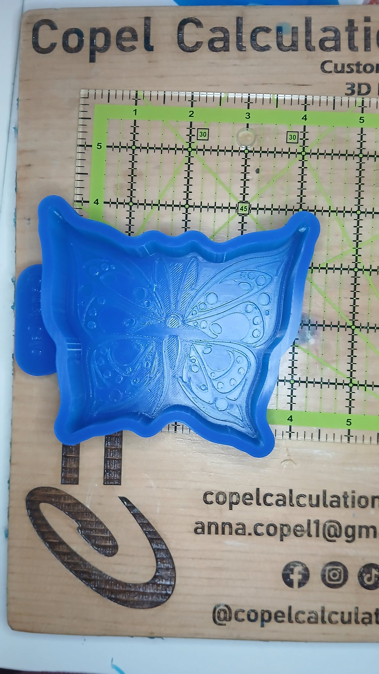Patterned Butterfly