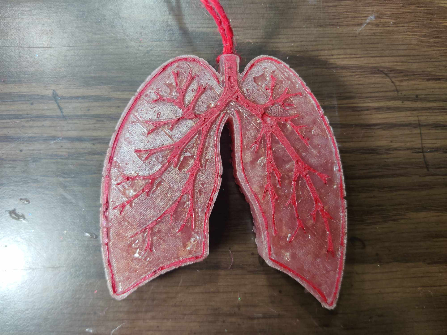 Anatomical Lungs