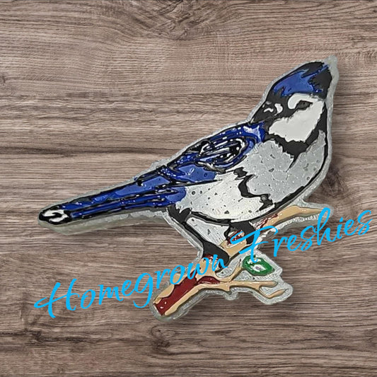 Bluejay